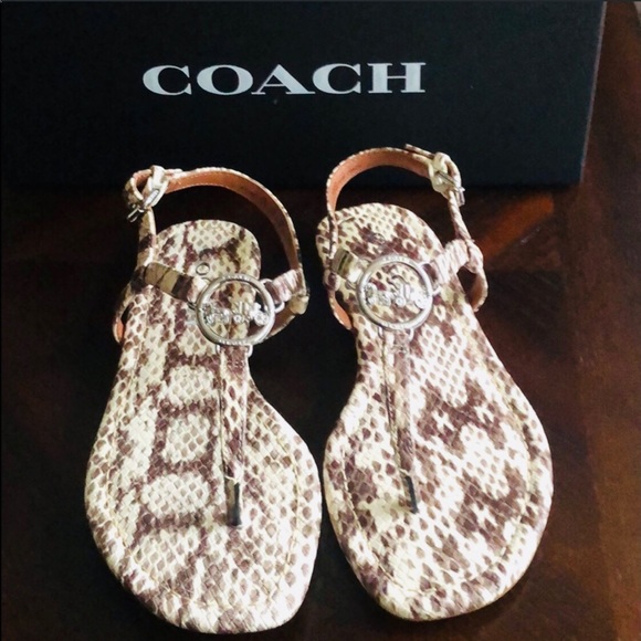 Coach Shoes - 🌟COACH Thong Sandal🌟